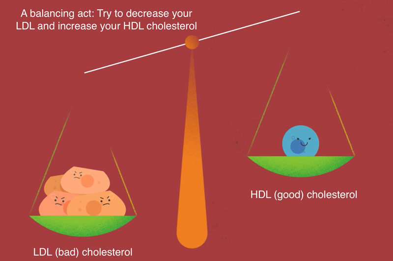 ควรพยายามเพิ่ม HDL และลด LDL