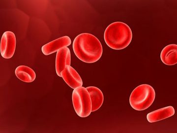 ธาตุเหล็ก (Iron) ช่วยสร้างเซลล์เม็ดเลือดแดง หากร่างกายขาดธาตุเหล็ก จะทำให้เกิดโรคโลหิตจาง