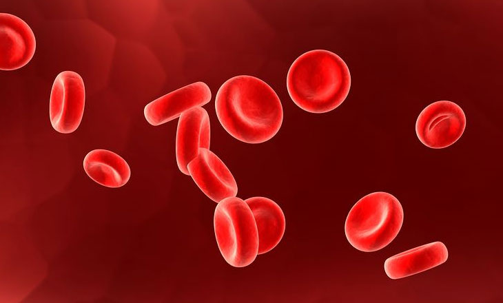 ธาตุเหล็ก (Iron) ช่วยสร้างเซลล์เม็ดเลือดแดง หากร่างกายขาดธาตุเหล็ก จะทำให้เกิดโรคโลหิตจาง