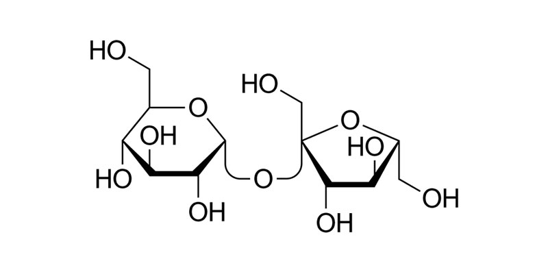 สมการเคมี ของน้ำตาล Sucrose