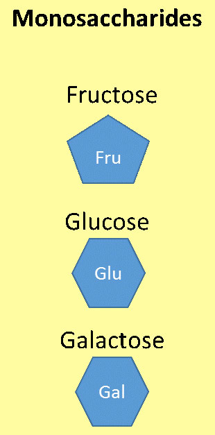 น้ำตาลโมเลกุลเดี่ยว (monosaccharides)