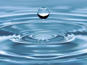 น้ำ (Water) ไม่มีรส ไม่มีสี ไม่มีกลิ่น สารจำเป็นต่อร่างกายของมนุษย์ รองลงมาจากอากาศ