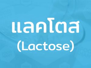 แลคโตส (Lactose) หรือน้ำตาลนม มีความหวานน้อยกว่าน้ำตาลประเภทอื่น พบมากในนมวัว