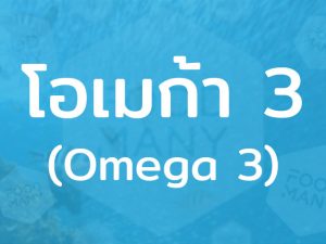 โอเมก้า 3 (Omega 3) กรดไขมันที่มีความจำเป็นต่อร่างกาย ช่วยเสริมสร้างกระบวนการทำงานต่างๆ