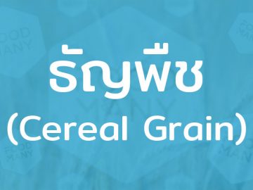 ธัญพืช (Cereal Grain) ข้าวและถั่วงา เป็นอาหารที่ให้พลังงานต่อร่างกาย มีคุณค่าทางโภชนาการสูง