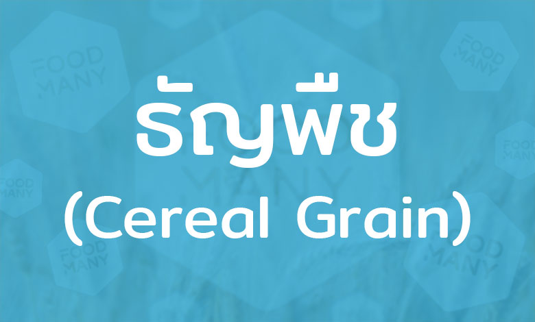 ธัญพืช (Cereal Grain) ข้าวและถั่วงา เป็นอาหารที่ให้พลังงานต่อร่างกาย มีคุณค่าทางโภชนาการสูง