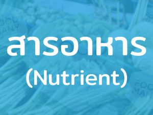 สารอาหาร (Nutrient) คาร์โบไฮเดรต โปรตีน วิตามิน เกลือแร่ แร่ธาตุ และน้ำ ใช้หล่อเลี้ยงอวัยวะในร่างกาย