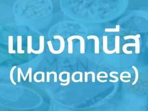 แมงกานีส แร่ธาตุชนิดหนึ่ง พบได้มากที่สุดบริเวณตับ ช่วยควบคุมสมดุลการทำงานของเอนไซม์