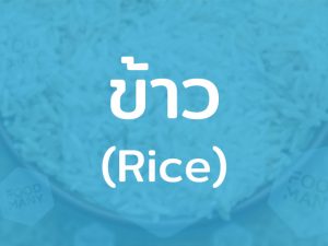 ข้าว (Rice) อาหารหลักคนไทย ธัญพืชสำคัญด้านโภชนาการ แหล่งพลังงานของมนุษย์