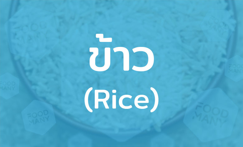 ข้าว (Rice) อาหารหลักคนไทย ธัญพืชสำคัญด้านโภชนาการ แหล่งพลังงานของมนุษย์