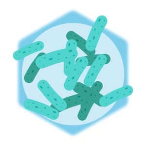 การหมัก (Fermentation)