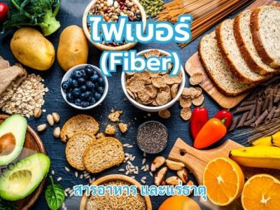 ไฟเบอร์ (Fiber)