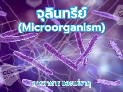 จุลินทรีย์ (Microorganism)