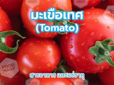 มะเขือเทศ