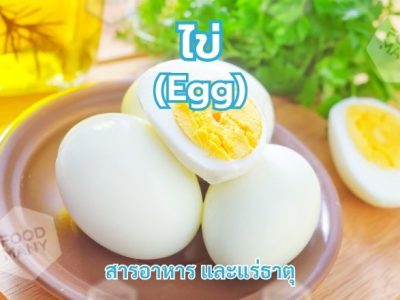 ไข่ (Egg)