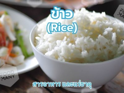 ข้าว (Rice)