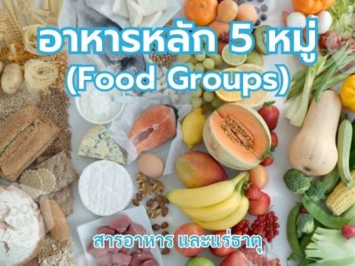 อาหารหลัก 5 หมู่ (Food Groups)