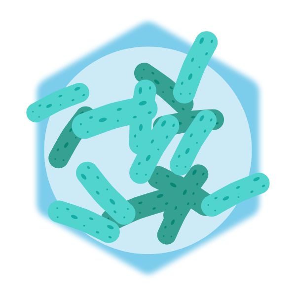 การหมัก (Fermentation)