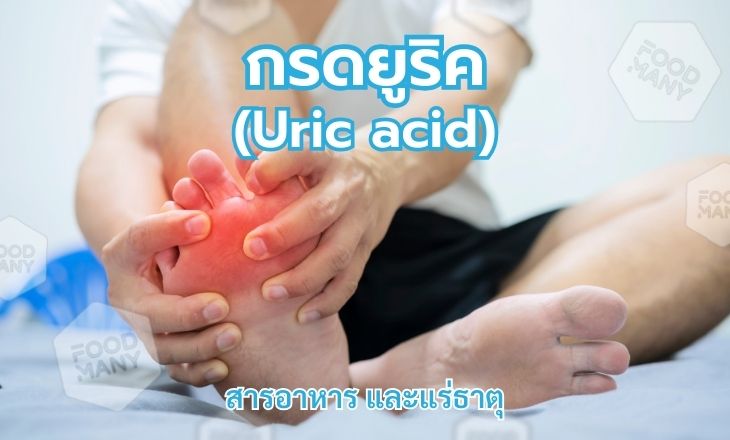 กรดยูริค (Uric acid)