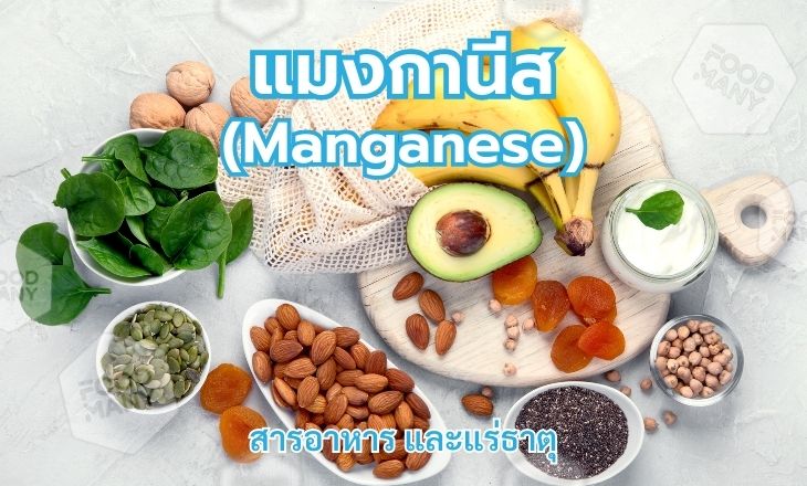 แมงกานีส (Manganese)