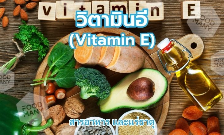 วิตามินอี (Vitamin E)